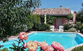 Les Cypres Florentins